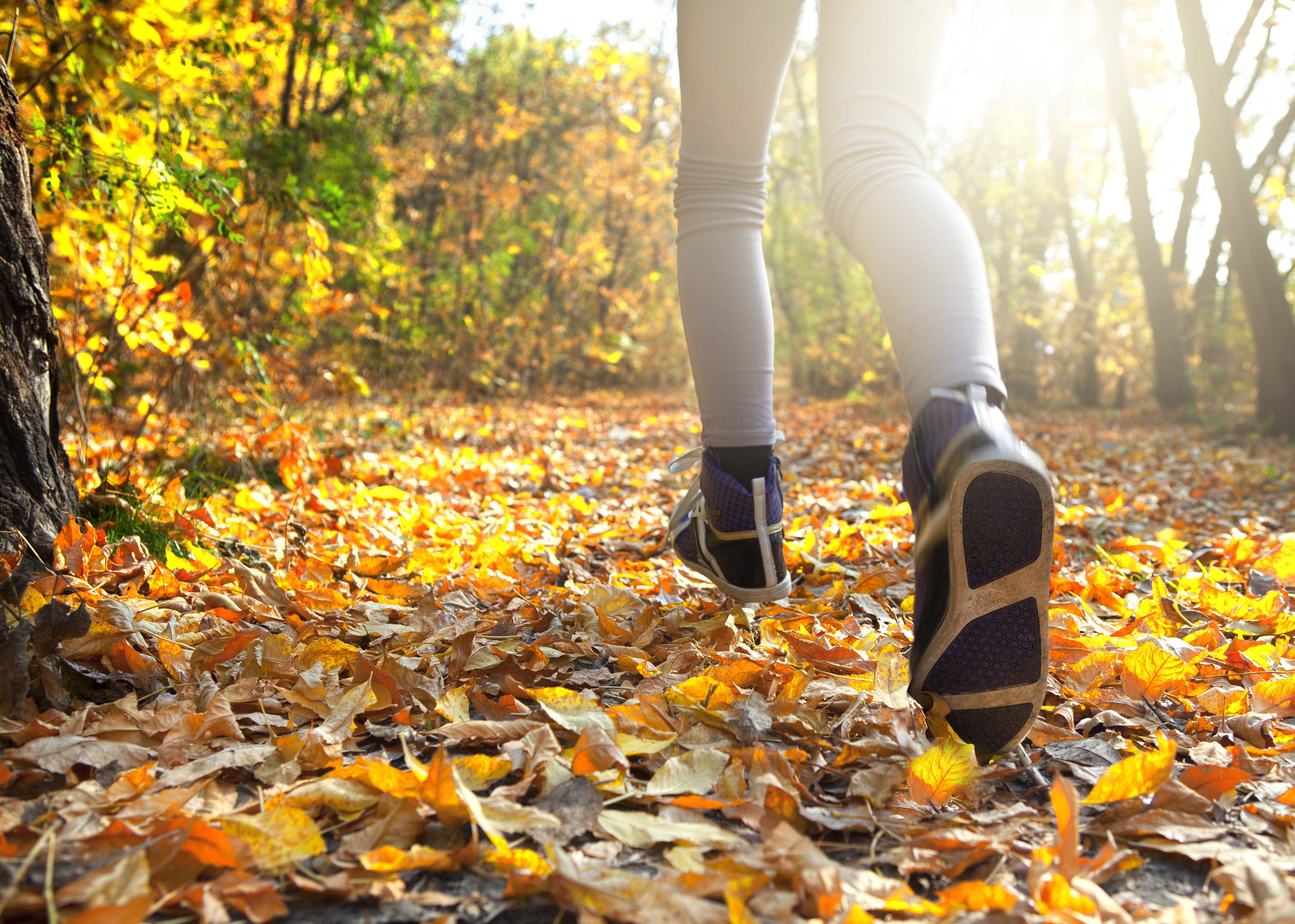 Frau läuft in Sportschuhen durch den Herbstwald mit Blätter am Boden